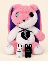 Borderline Personality Disorder Rabbit